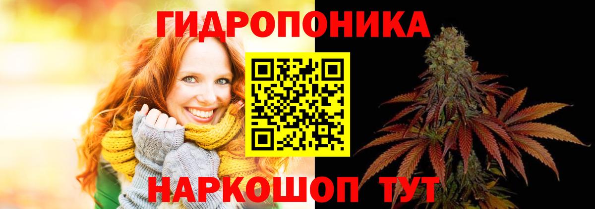 Канабис семена Советский